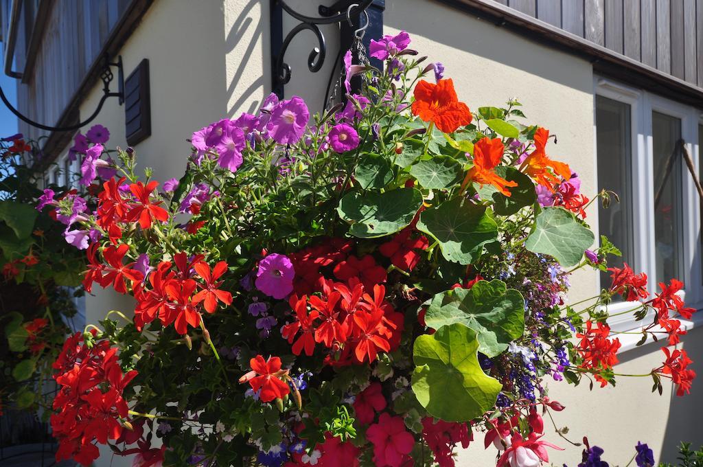 The Bosham B&B Екстер'єр фото